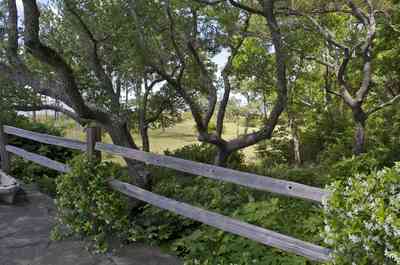 14830+Innerarity+Point+Rd-patio_05.jpg:  