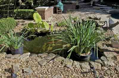 300+Woodbridge+Circle-fish+pond.jpg:  