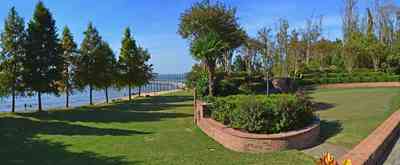 441+Village+Dr-backyard_02.jpg:  