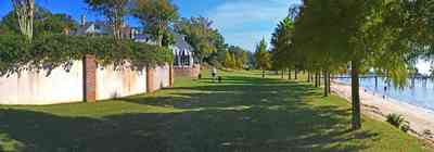 441+Village+Dr-backyard_03.jpg:  