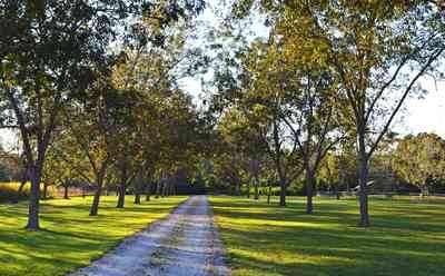 W3O4qC2vQBe-crckmZkC.:  