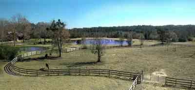 Allentown:-Bloechle-Farm_01.jpg:  farm, paddock, horse farm, oak tree, catfish pond, stable, 
