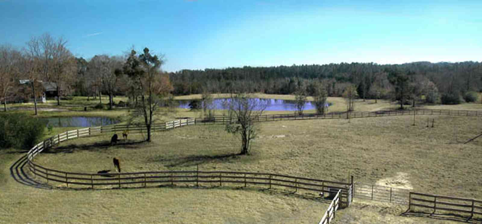 Allentown:-Bloechle-Farm_01.jpg:  farm, paddock, horse farm, oak tree, catfish pond, stable, 