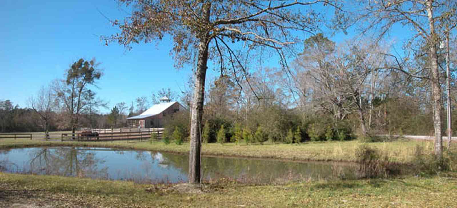Allentown:-Bloechle-Farm_02.jpg:  pond, laek, oak trees, horse farm, board fencing, barn, 