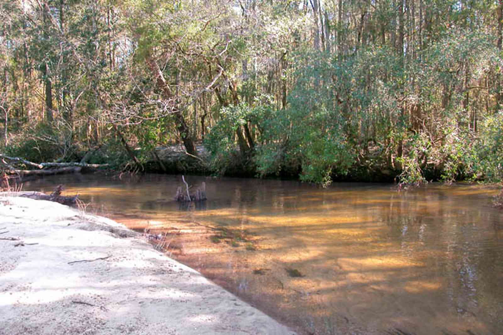 Allentown:-Bloechle-Farm_06.jpg:  sand bar, creek, coldwater creek, farm, 