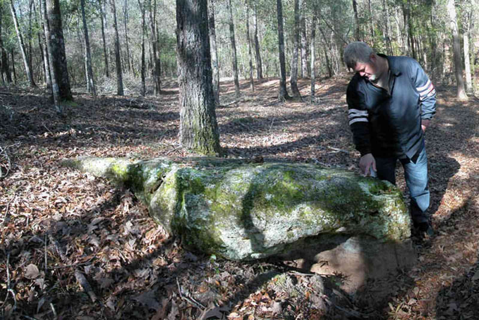 Allentown:-Mathews-Back-40_03.jpg:  oak tree, farm, limestone rock, geographical formation, 