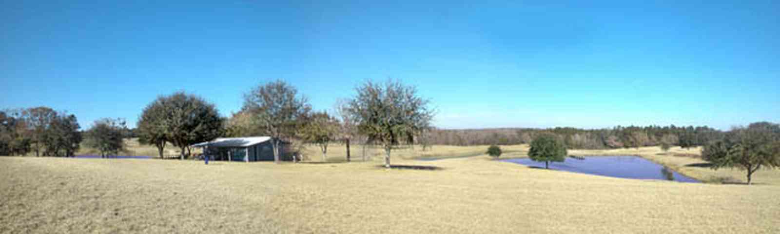 Allentown:-Mathews-Farm-2_01.jpg:  farmhouse, pasture, lake, pond, oak trees, 