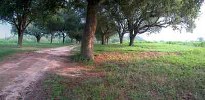 Allentown:-Mathews-Farm_01a.jpg:  gate, weather vane, sign, oak tree, farmland