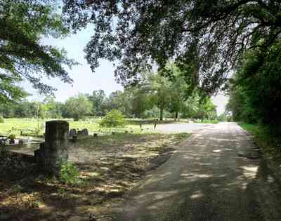 Bagdad:-Cemetery_04.jpg:  oak tree, spanish moss, country road, two-lane road, canopy of trees, dense forest, graveyard, cemetery, headstone, 