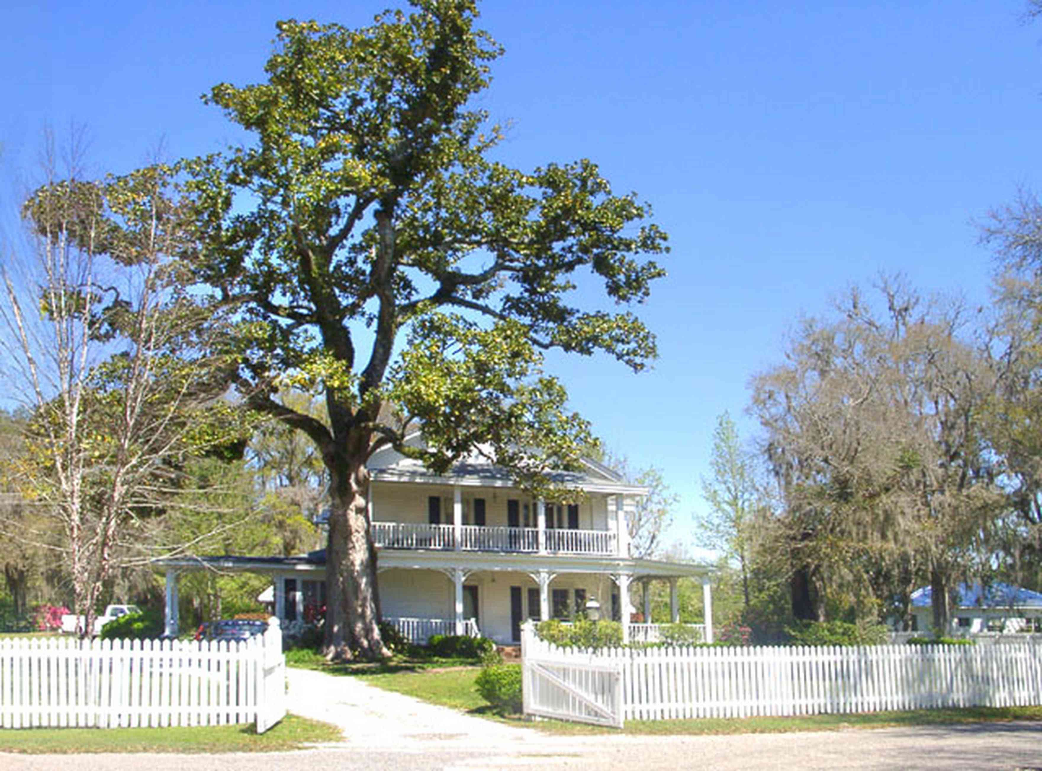 Bagdad:-Creary-Crawford-Walsh-House_01.jpg:  magnolia tree, victorian house, picket fence, 