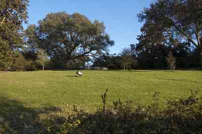 bellingrath+gardens-lawn.jpg:  