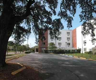 Belmont-Devillers:-The-Magnolias_09.jpg:  magnolia tree, fir tree, columns, brick building, nursing home, apartment building