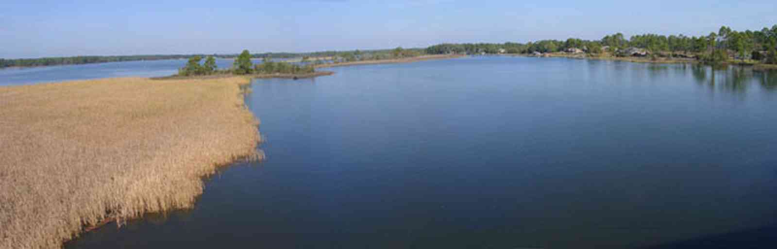 Blackwater-River-State-Park:-Blackwater-River_01.jpg:  blackwater river, i-10, swamp