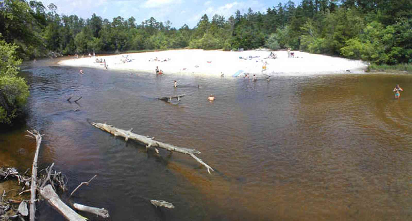 Blackwater-River-State-Park:-Munson-Highway-Bridge_01.jpg:  driftwood, logs, forest, sand bar, switchback, stump, bathers, swimming hole, 
