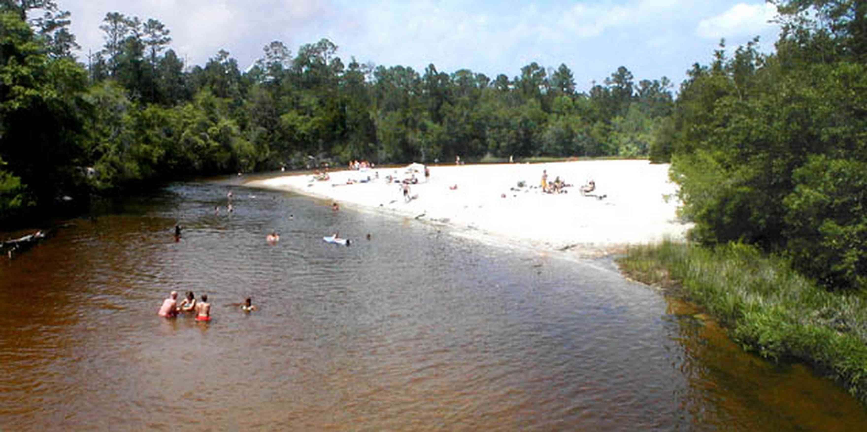 Blackwater-River-State-Park:-Munson-Highway-Bridge_02.jpg:  swimming hole, bathers, sand bar, blackwater river, stump