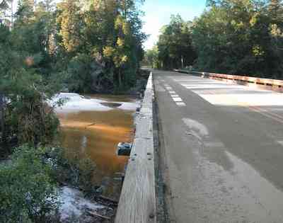 Blackwater-River-State-Park:-Pine-Forest_20.jpg:  creek, coldwater creek, bridge, country road, state park, spring water