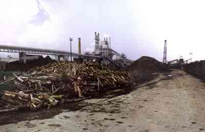 Brewton:-Jefferson-Smurfit-Company_4.jpg:  pulpwood, train tracks, brewton, container corporation