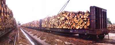Brewton:-Jefferson-Smurfit-Company_6.jpg:  train, boxcar, logs, pulpwood, brewton