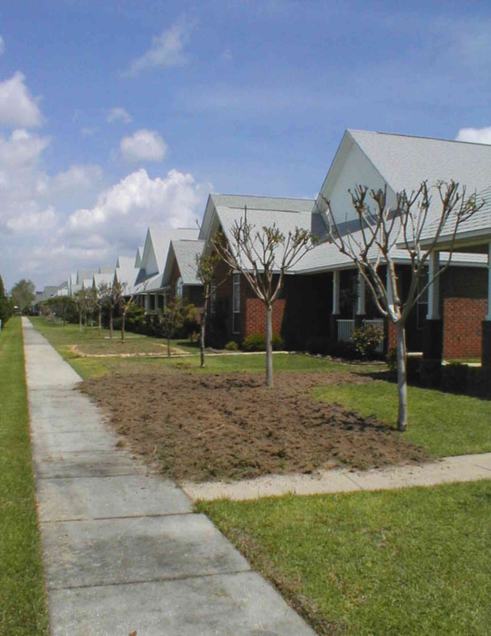 Cantonment:-Milestone_12.jpg:  cumulus clouds, oak trees, boulevard, tract houses, fir trees, brick housesgarden