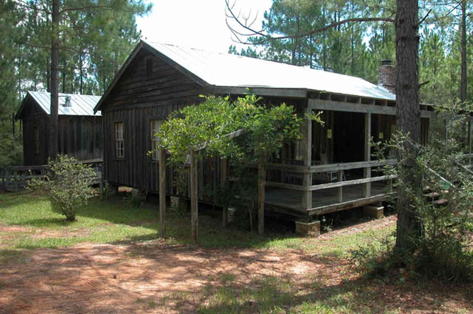 Cantonment:-Roy-Hyatt-Environmental-Center-Dog-Trot-House_01.jpg:  dog trot house, wisteria vine, porch, pine tree, board and batten, brick piers