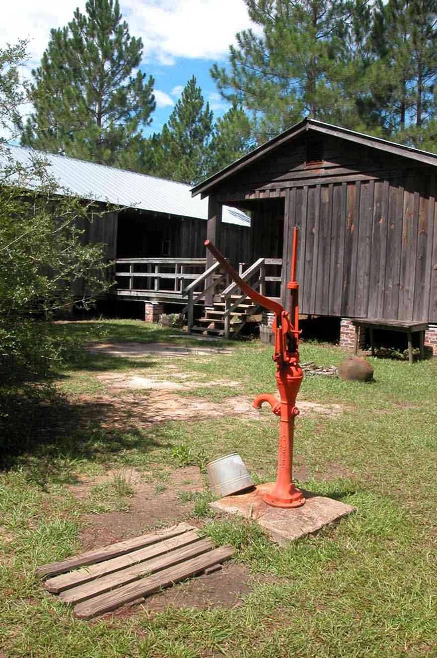 Cantonment:-Roy-Hyatt-Environmental-Center-Dog-Trot-House_02a.jpg:  dog trot house, wisteria vine, porch, pine tree, board and batten, pump, brick piers