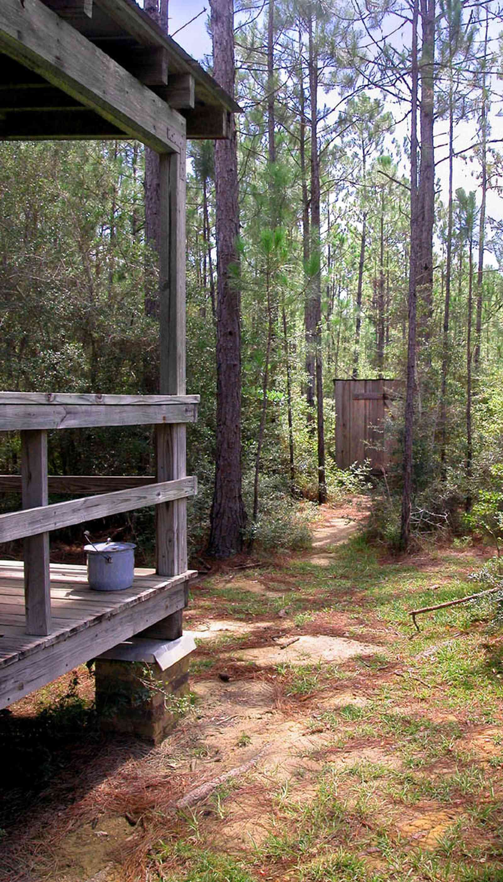 Cantonment:-Roy-Hyatt-Environmental-Center-Dog-Trot-House_06.jpg:  dog trot house, slop jar, outhouse, privy, outdoor plumbing, wisteria vine, porch, pine tree, board and batten, outhouse, slop jar,  brick piers