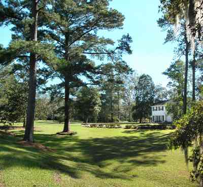 Century:-7542-South-Jefferson-Avenue_03.jpg Century:-7542-South-Jefferson-Avenue_03.jpg: colonial home, pediment, formal doorway, pine tree, azelea bush, spanish moss, country estate