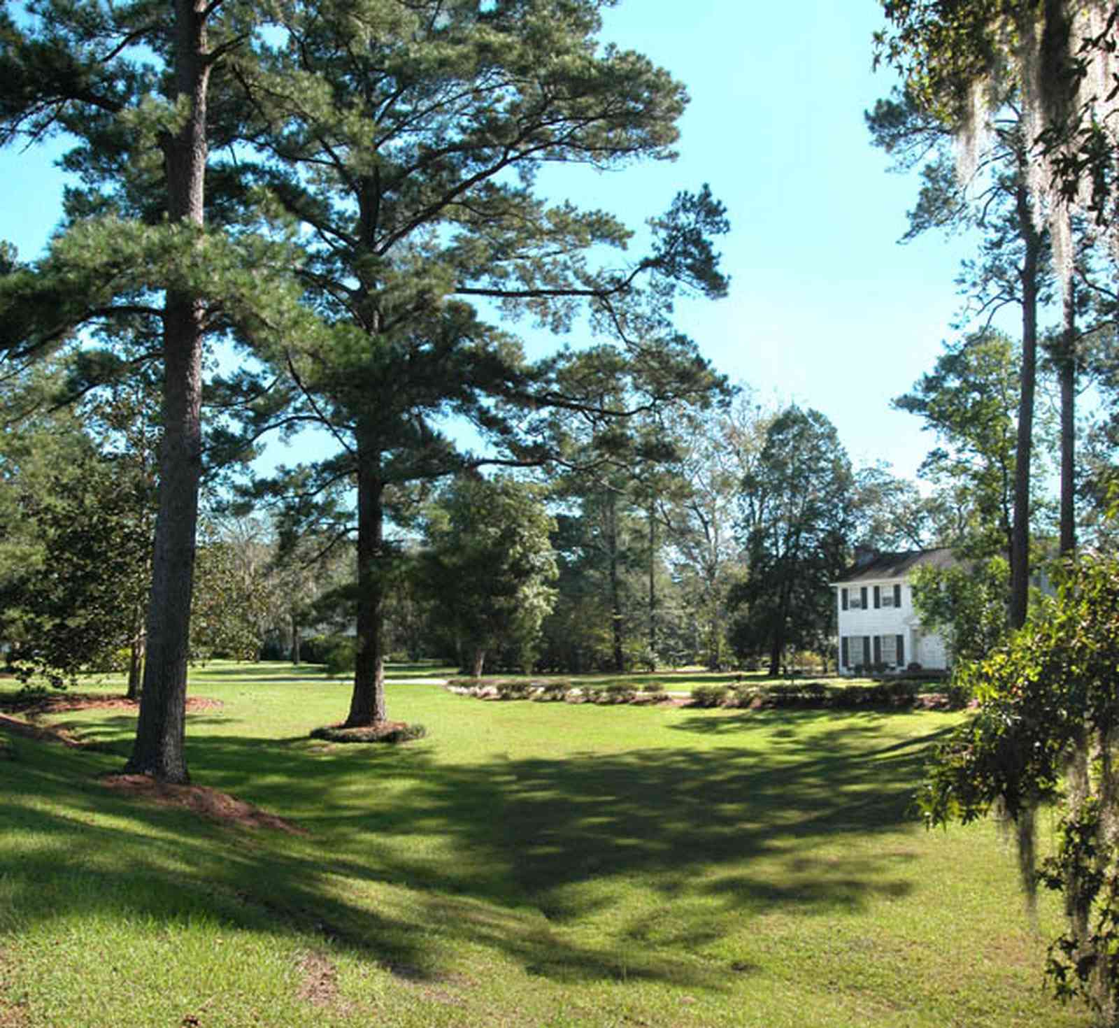 Century:-7542-South-Jefferson-Avenue_03.jpg:  colonial home, pediment, formal doorway, pine tree, azelea bush, spanish moss, country estate