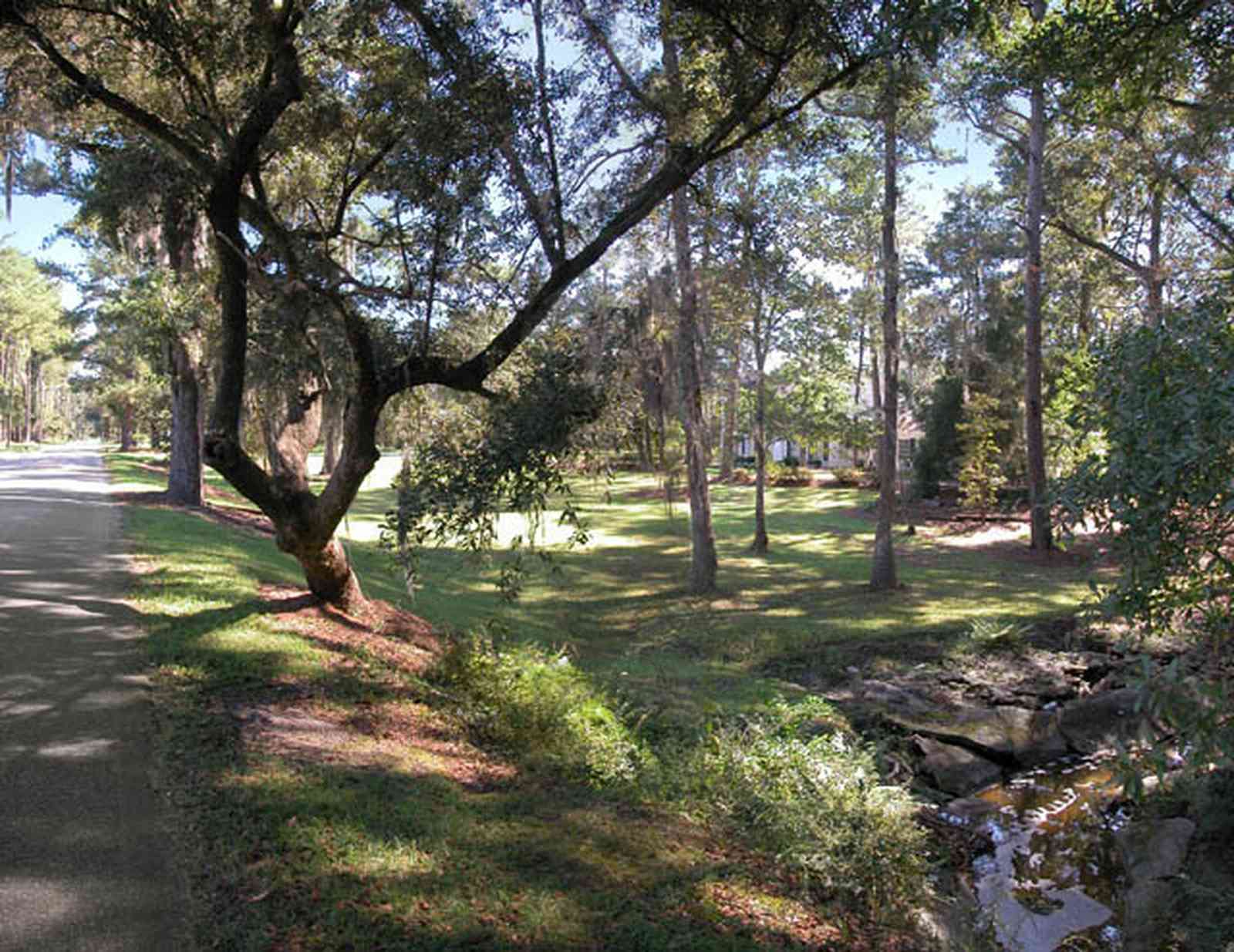 Century:-7542-South-Jefferson-Avenue_05.jpg:  colonial home, pediment, formal doorway, pine tree, azelea bush, oak tree, country estate