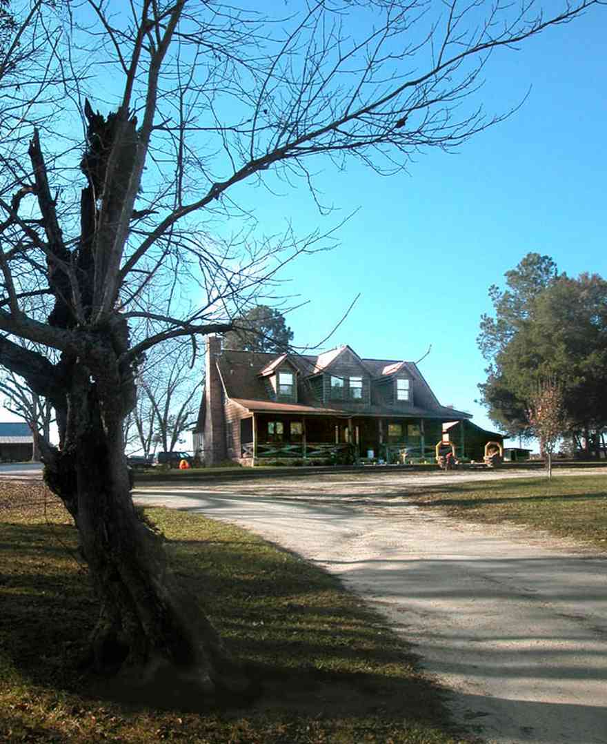 Century:-Brown-Farm_01.jpg:  cabin, wood siding, chimney, fireplace, gnarled tree, gravel driveway, cedar siding, pine trees barn, porch