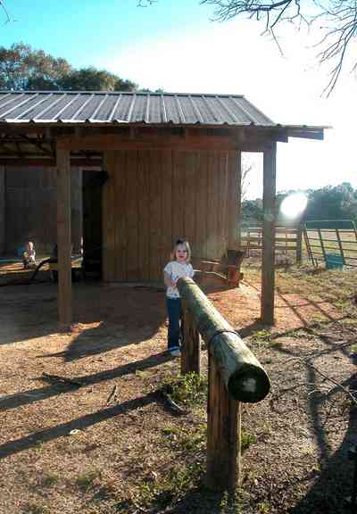 Century:-Brown-Farm_10.jpg:  hitching post, barn, horses, children, toddler, fence, tin roof, farm, hay field