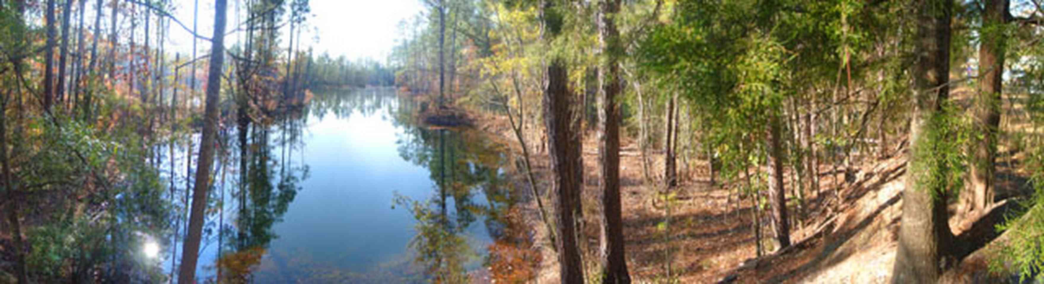 Century:-Quarry-Lake_03.jpg:  quarry, gravel, lake, cedar trees