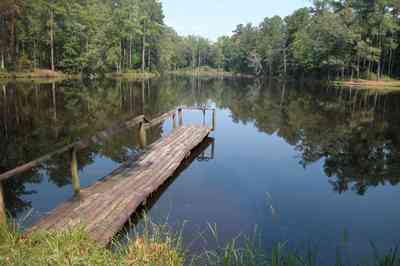 Century:-Tannenheim_31.jpg:  victorian mansion, southern mansion, white columns, heart pine wood, tongue and groove walls, pasture, lake pecan orchard, plantation, rolling pastures, pier, timber, country road