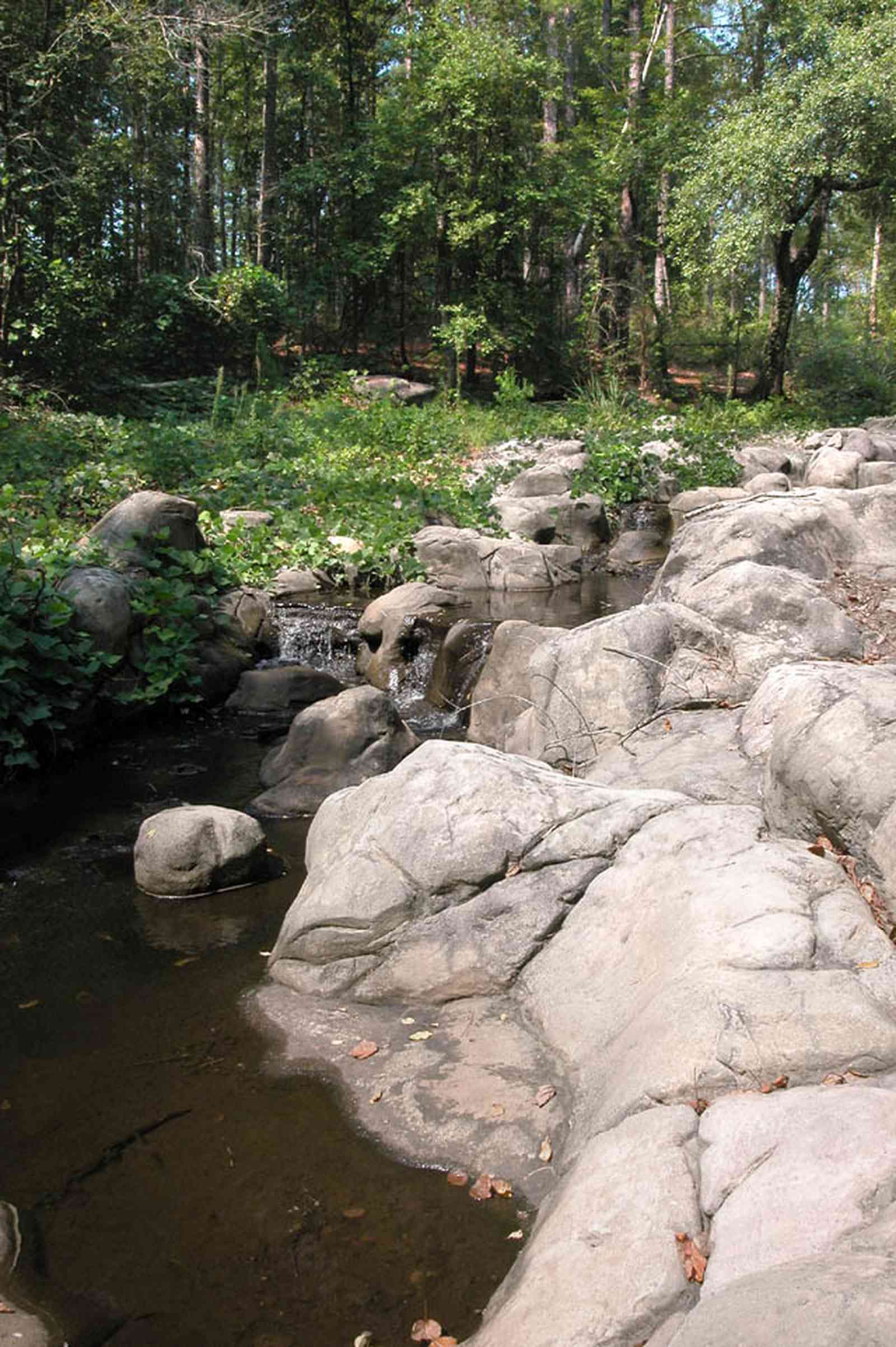 Century:-Tannenheim_32.jpg:  victorian mansion, southern mansion, white columns, heart pine wood, tongue and groove walls, pasture, lake pecan orchard, plantation, rolling pastures, waterfall, stones, timber, country road