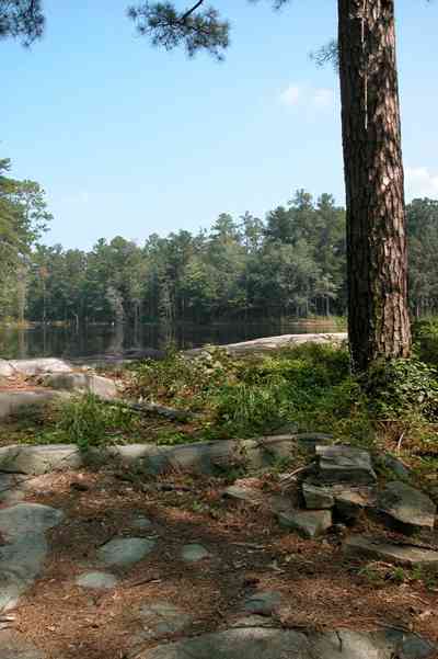 Century:-Tannenheim_32c.jpg:  victorian mansion, southern mansion, white columns, heart pine wood, tongue and groove walls, pasture, lake pecan orchard, plantation, rolling pastures, stable, timber, country road, rocks, stones, pond, pine tree