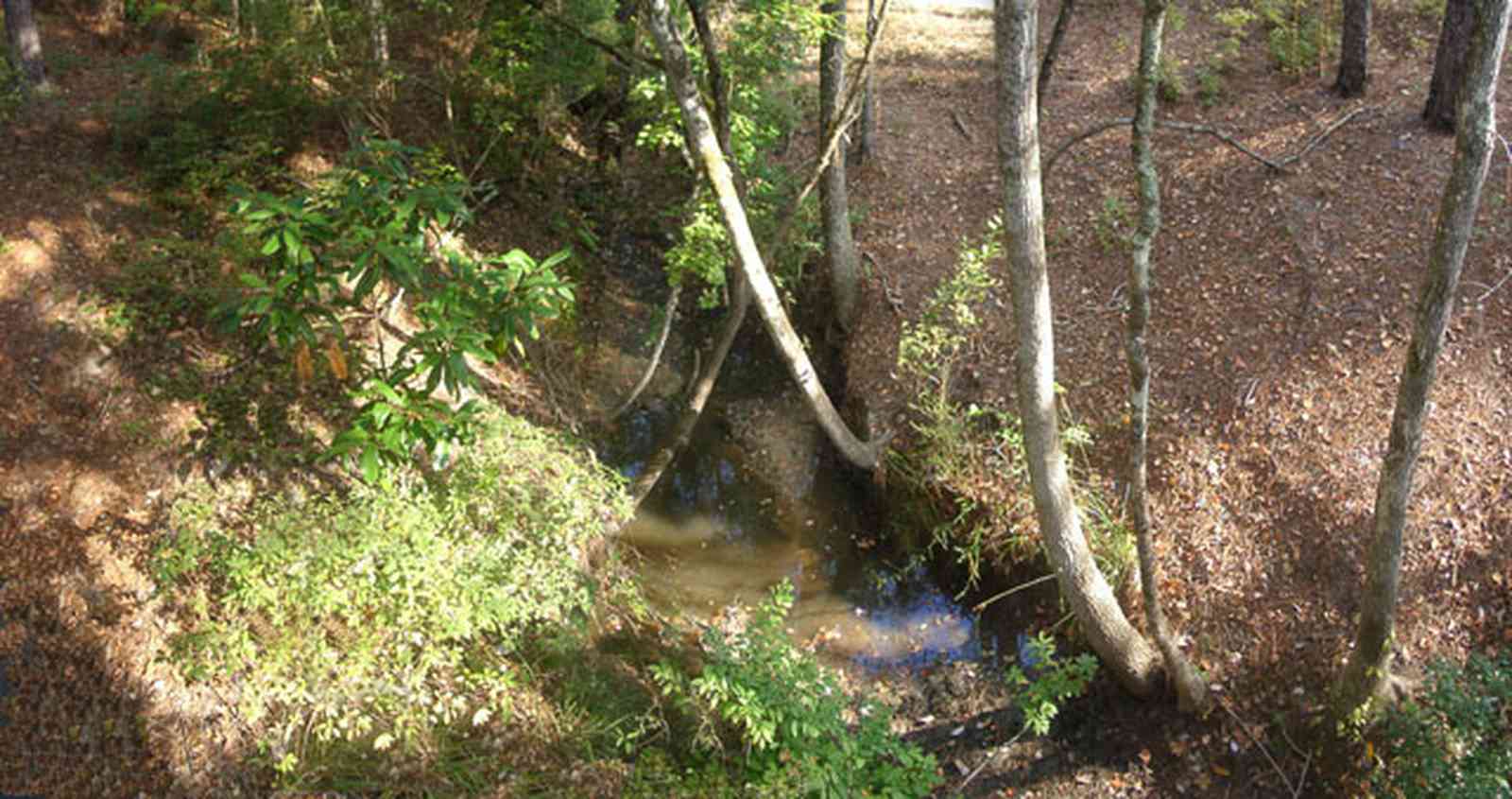 Chipley:-Falling-Waters-State-Park_08.jpg:  stream, limestone rocks, watershed