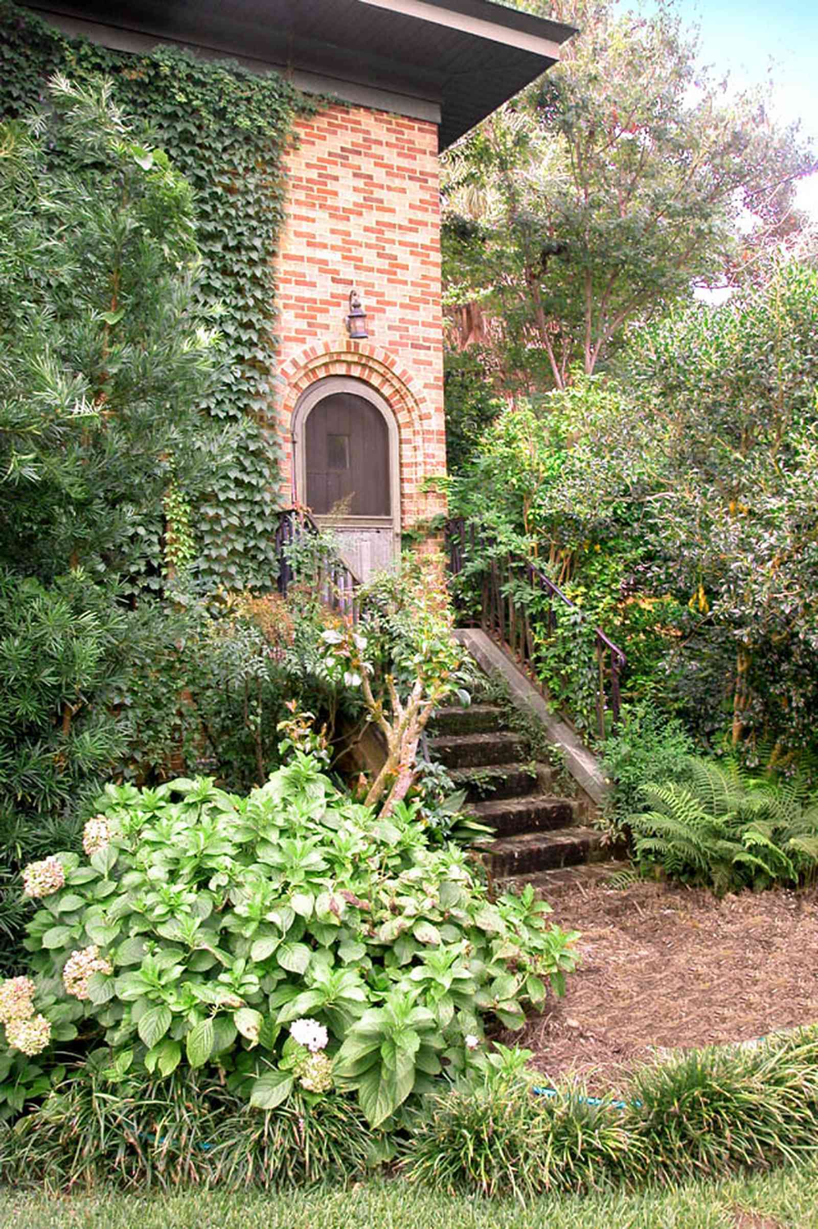 East-Hill:-1801-East-La-Rua-Street_03.jpg:  front door, brick steps, brick house, hydranga bush, oak tree, crepe myrtle