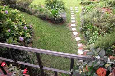 East-Hill:-1801-East-La-Rua-Street_06c.jpg East-Hill:-1801-East-La-Rua-Street_06c.jpg: hydrangia bush, terrace, patio, ferns, stepping stones