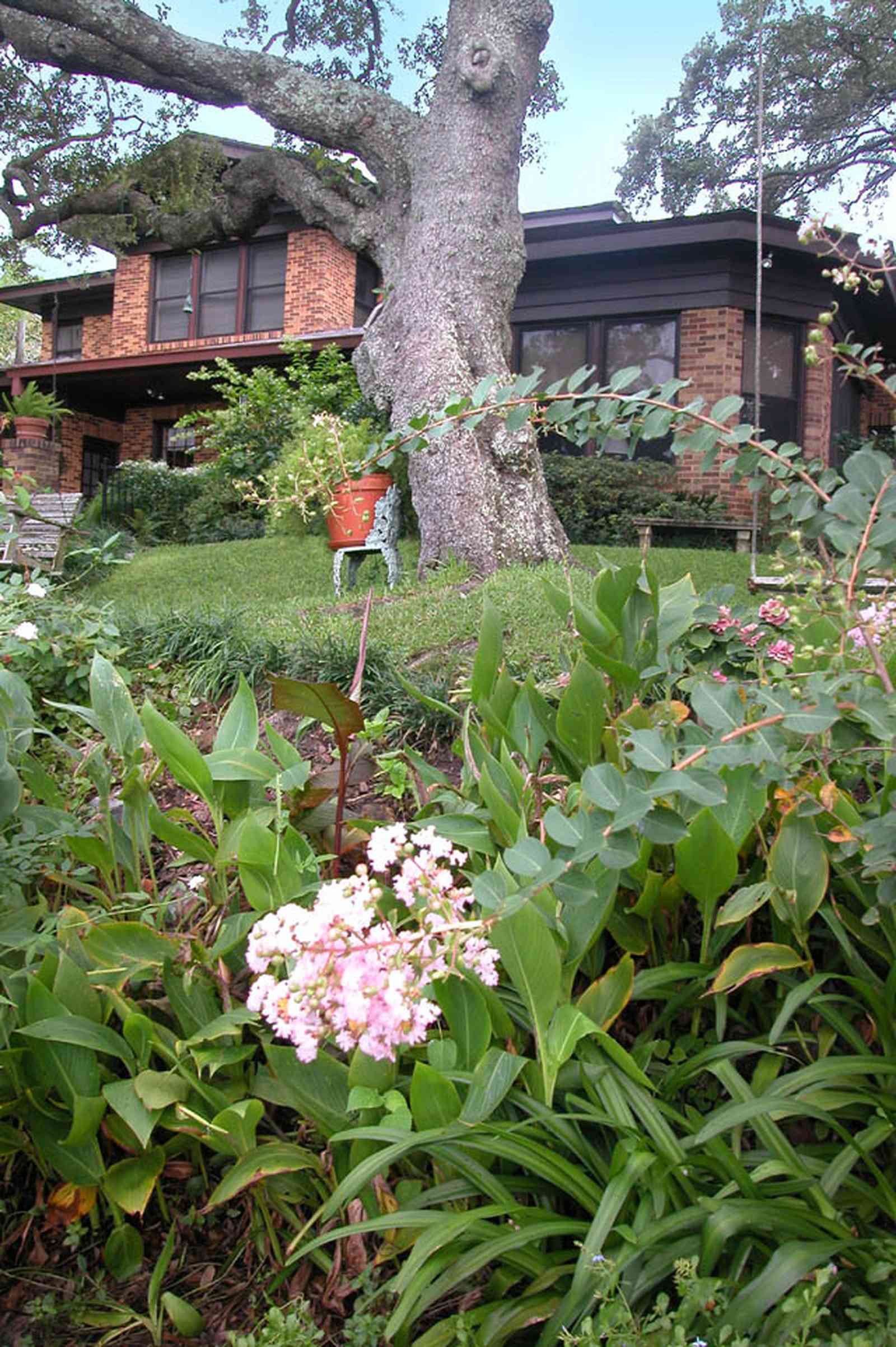 East-Hill:-1801-East-La-Rua-Street_09c.jpg:  crepe myrtle bush, backyard, oak tree, terrace, patio, bluff, bay