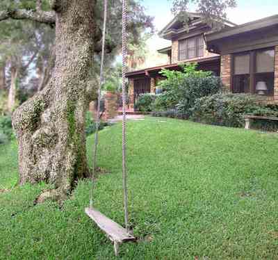 East-Hill:-1801-East-La-Rua-Street_10.jpg:  bluff, oak trees, swing, garden, lawn, patio