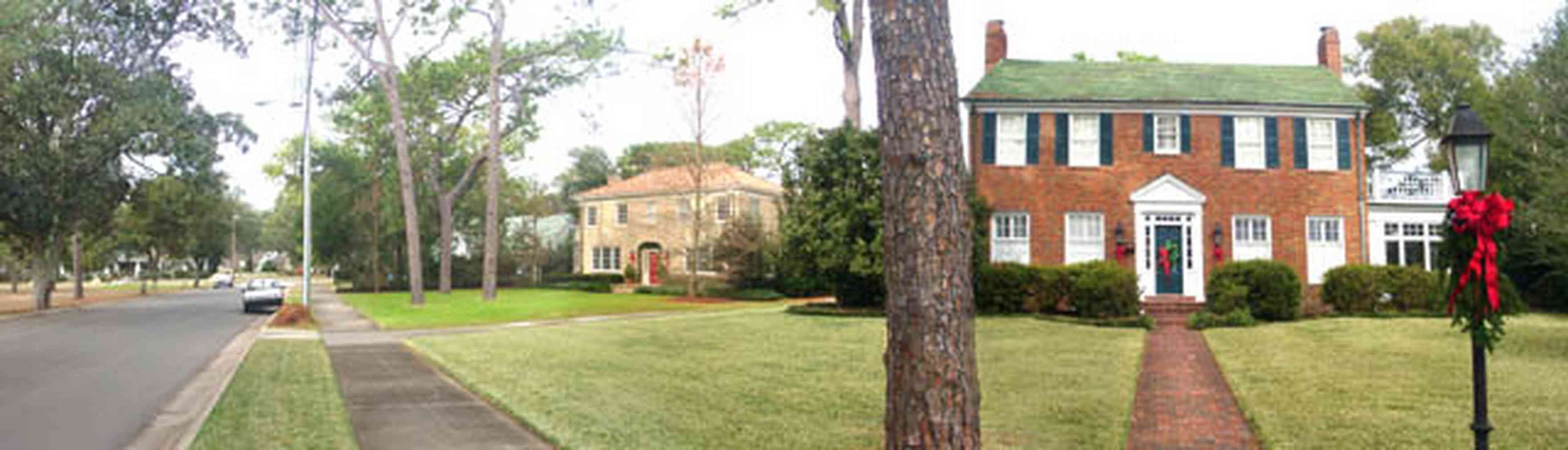 East-Hill:-2010-East-Mallory-Street_01.jpg:  pine tree, traditional architectural style, east hill, bayview park