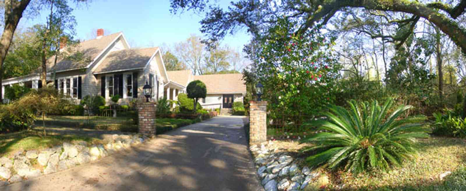 East-Hill:-McAlpin-Shop_02.jpg:  palm tree, oak tree, driveway, colonial style, 
