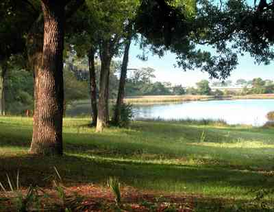 East-Pensacola-Heights:-118-Bayou-Blvd_07.jpg East-Pensacola-Heights:-118-Bayou-Blvd_07.jpg: bayou texar, oak tree, park, pensacola bay