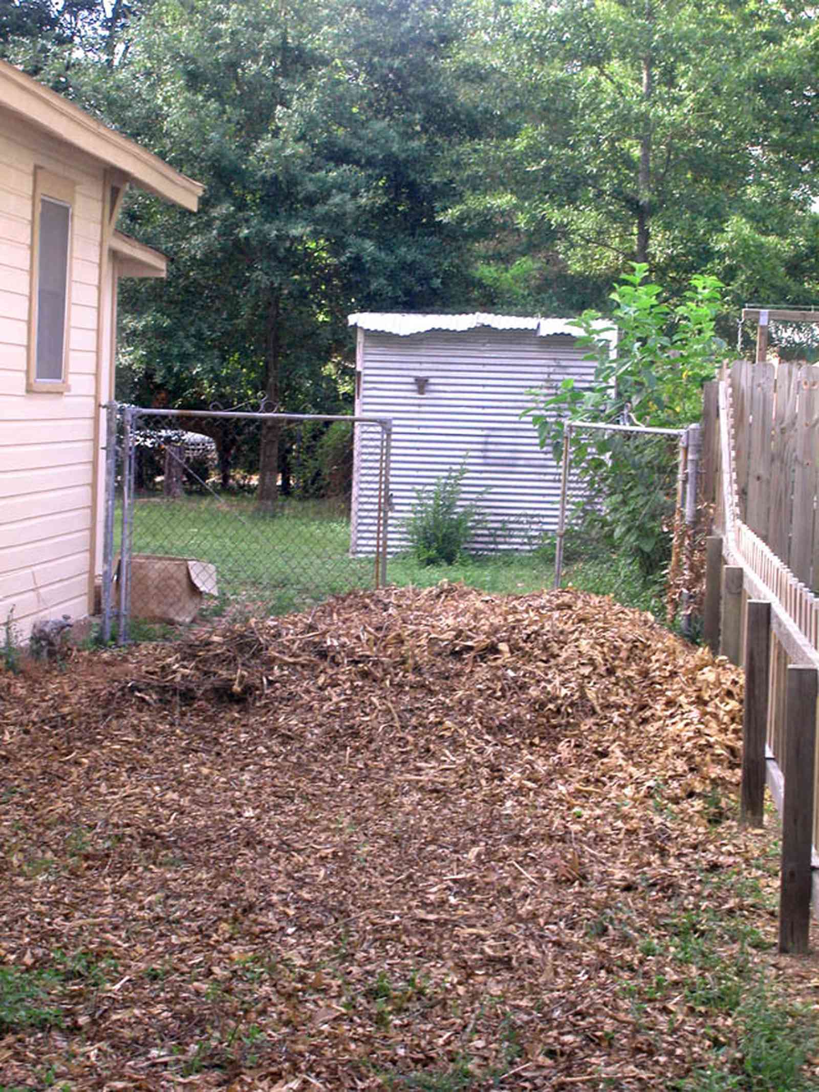 East-Pensacola-Heights:-3008-Strong-Street_05.jpg:  cottage, picket fence, ornamentation, oak tree, chain link fence, garden shed, gate