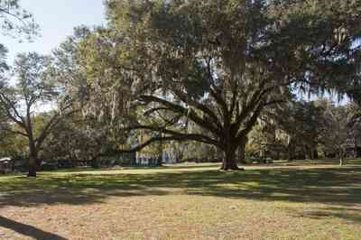 eden+gardens+state+park-house+_26_+oak+trees_05.jpg:  