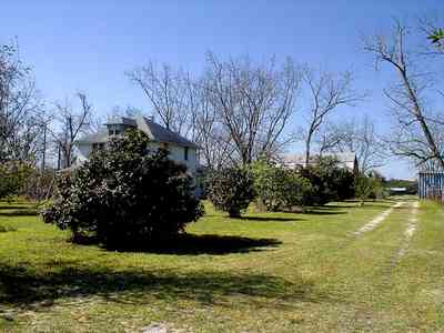 Elberta:-Farm_02.jpg:  pecan orchard, gate, fence, pillars, alabama, highway 98