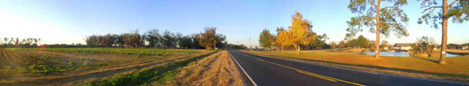 Elberta:-Kleinschmidt-Road-Truck-Farm_03.jpg:  truck farm, country road, pond, alabama, pecan trees