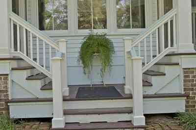 fishbein-back+door_02.jpg:  