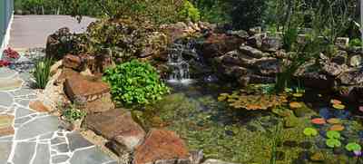 35OQ0BfpQlS-54LTJhLC.:  