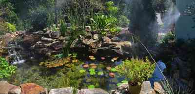 UFQXIIAJQMew6ZbJuA1B.:  